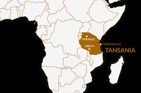 Laut auswärtigem amt ist die lage vor ort insgesamt. Tansania Urlaub Entdecken Sie Die Serengeti Big Five Itravel De