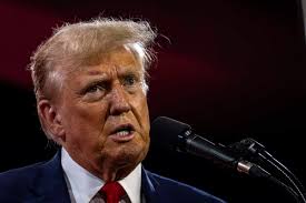 Michael Steele offers Donald Trump 'comfortable' interview with cookies and  'favorite drink'