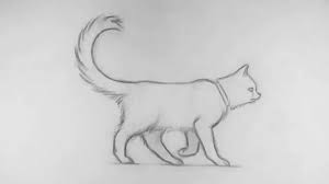 Cat Walk Cycle Pencil Test Youtube How to draw a cat. cat walk cycle pencil test