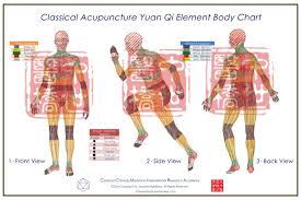 classical acupuncture yuan qi body charts trio series large 102 x68cm