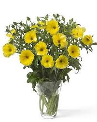 Midday heat is stressful to plants, causing them to wither more readily when cut. Butterfly Ranunculus Is A Long Lasting Flower And Each Stem Is Loaded With Flowers Try Some If You Wholesale Flowers Diy Wedding Flowers Ranunculus Flowers