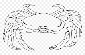 Now draw the required details like the eyes and the mouth. Crab Clipart Crab Drawing Realistic Crab Line Drawing Hd Png Download Vhv