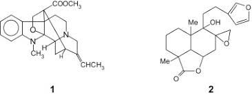 Image result for Vernonia nepetifolia