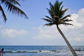 En las últimas dos semanas han ido llegando más y más ciudadanos desde áfrica, asia y las islas caribeñas de. Playas Principales De Necocli Antioquia Turismo En Necocli Sitios Turisticos De Colombia Viajar Por Colombia Hoteles En Colombia Turismo En Colombia Agencias De Viajes Colombia Planes Turisticos Colombia Viajar Por Colombia