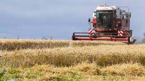 Le blé présente un certain nombre de bienfaits. Le Prix Des Matieres Premieres Agricoles Continue De S Envoler En Normandie