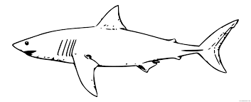 Coloring pages to celebrate shark week, or love of the ocean! Great White Shark Coloring Pages Great White Shark Clip Art Printable Coloring4free Coloring4free Com