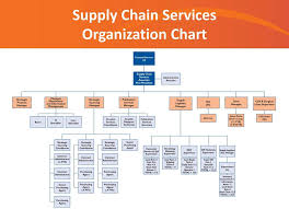 hospital supply chain organizational chart best picture of