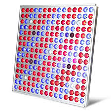 We did not find results for: Grow Light 45w Maiicy 225 Leds Plant Grow Lights With Uv And Ir For Indoor Greenhouse Hydroponic Plants Growing And Flowering Buy Online In Jordan At Jordan Desertcart Com Productid 70220448