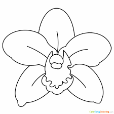 Calla lily coloring pages | pictures to print of lilies. Cymbidium Flower Coloring Page Free Printable For Kids