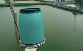 Perawatan Air Kolam Lele Sangkutifarm Com Tips Budidaya Lele
