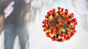There are currently seven coronaviruses known to infect humans (figure). Coronavirus In Sh Videos Infos Hintergrunde Ndr De Nachrichten Schleswig Holstein Coronavirus