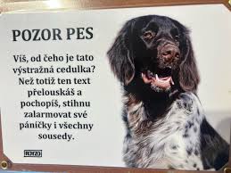 Image result for německý ohař dlouhosrstý