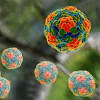 Viral hepatitis fact sheets and vaccine information statements for patients. 1