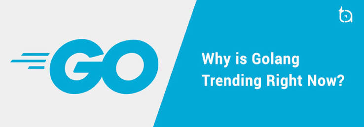Why You Should Use Go for Your Project - TechAffinity