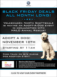 Maybe you would like to learn more about one of these? Adopt A Dog Event Volkswagen North Scottsdale