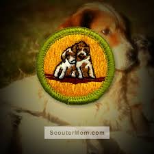 Click a merit badge name below for the current requirements. Dog Care Merit Badge Helps And Documents Scouter Mom