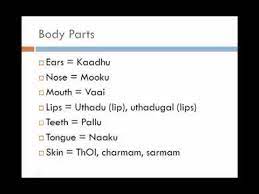 Best website for tamil typing, tamil translation and english to tamil dictionary. Learn Tamil Through English Lesson 11 Parts Of The Body Youtube
