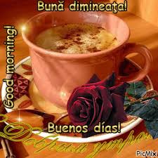 Good Morning B Bonjour