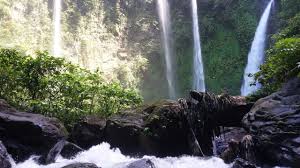 Harga tiket masuk wisata ini untuk per orangnya terdapat beberapa pilihan yang bisa kamu pilih. Tekaan Telu Waterfall Kentur Empung