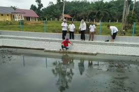 Places sarolangun, jambi, indonesia kabupaten sarolangun jambi. 10 Tempat Wisata Di Tebo Jambi Bikin Betah Nggak Mau Pulang Wisataterbaru Net