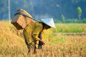 Psikotest menggambar manusia dan pohon kompi. Gambar Orang Bekerja Keras