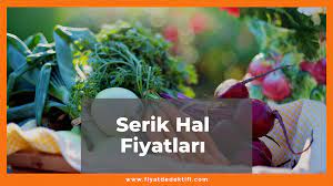 serik hal fiyatlari listesi 2021 guncel serik hal fiyatlari listesi 2021