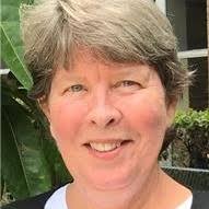 What are the benefits of a park and loop route for mail delivery in  Dixieland neighborhood?