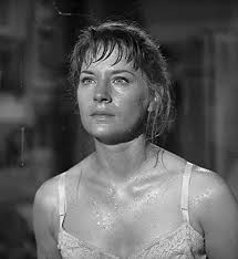 It's About TV: Apocalypse Theater