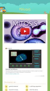 We did not find results for: Mitosis Interactive Worksheet By Belma Flores Wizer Me
