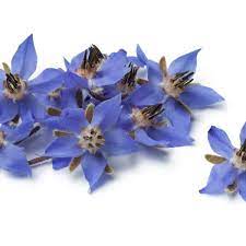 Check spelling or type a new query. Edible Flowers A Sign Of The Coming Summer