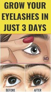 Grow Your Eyelashes In Just 3 Days How To Grow Eyelashes Make Eyelashes Longer Longer Eyelashes