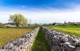 Liste type de locations vacances. Gite Et Hebergement Pas Cher Poudally Location Gite Et Chambre D Hote A Lalbenque Dans Le Lot 46