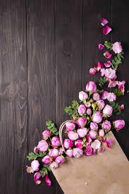 Hd desktop wallpapers | 4k hd » flowers » rose wallpapers images. 100 Rose Images Download Rose Images In Hd For Free Az Quotes
