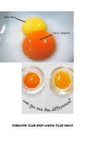 We did not find results for: Telur Omega 3 Champ Telur Kampung Ayam Merah Telor Omega Shopee Indonesia