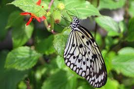 Home > florida > coral springs > coral springs pest control. 11 Top Rated Things To Do In Coral Springs Fl Planetware