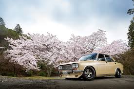 Image result for Federal Standard Yellow 1969 Bluebird