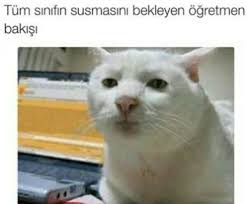 Rana Qarayeva Adli Kullanicinin Denenecek Projeler Panosundaki Pin Komik Alintilar Komik Seyler Komik