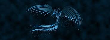 Blue Phoenix Facebook Cover Dual Monitor Wallpaper Widescreen Wallpaper Computer Wallpaper