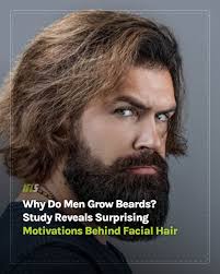 Men with beards have various motivations for growing them, but they seem to  be motivated by status, competition, and also family care