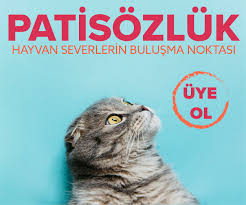 Patisozluk 2020 Hayvan Kedi Evcil Hayvanlar
