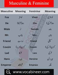 Masculine And Feminine With Urdu Meanings Download Pdf Free English Vocabulary Words English To Urdu Dictionary Learn English Words Find another word for wife. masculine and feminine with urdu