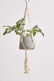 Cement 6 In 2020 Artificial Hanging Plants Hanging Plants Fake Hanging Plants