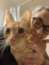 Guam kittens for adoption Kringle and Juniper