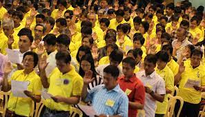 Noynoy aquino became president with jejomar binay with his side as vice president. Liberal Party Sustaining A Rebirth
