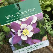Aquilegia 'clementine red' (clementine series) columbine monk's head lily care plant varieties & pruning advice. Our Favorite Columbines Spring Blooms Victoria Gardens