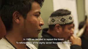 Meet our Latin America affiliate, Grace Iara Souza