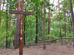 Der vorhandene weg soll fahrradgerecht. Projekt 16 Summits Grosser Muggelberg Der Hochste Naturliche Berg In Berlin Buntekarte