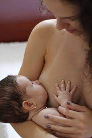 Breastfeed Breast-Feeding Mom - Free photo on Pixabay - Pixabay