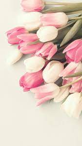 Sfondi fiori per il tuo pc o il tuo cellulare. Pin Di Irene Balboni Su Wallpapers Sfondi Floreali Tulipani Sfondi Iphone