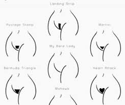 Check spelling or type a new query. Girls Pubic Hair Styles Girlsaskguys